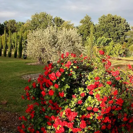 Le Moulin De Felix Holiday home